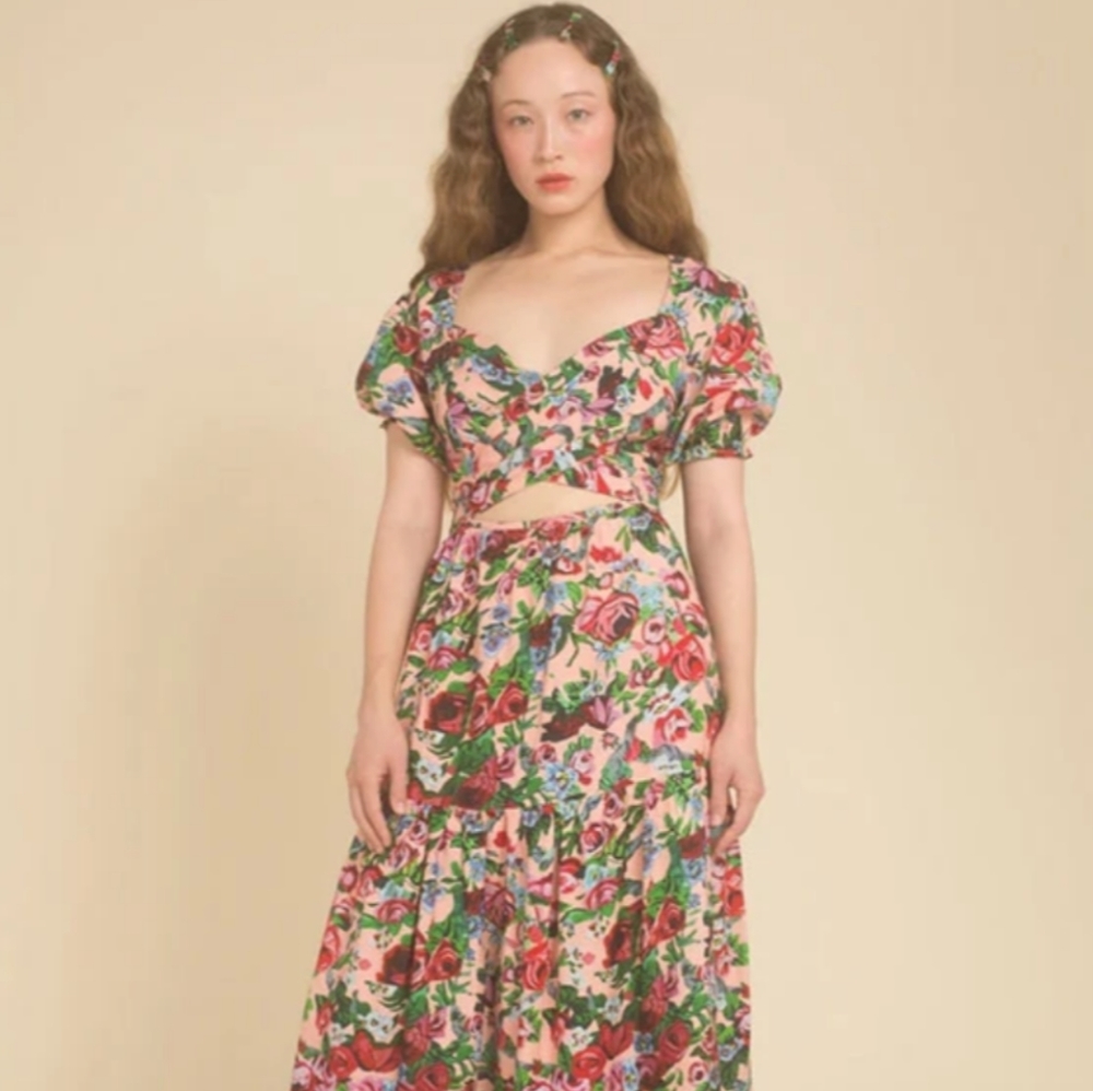 Samantha Pleet Floral Muse Dress size 12